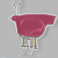 Free download Bird In Plaid Pants free photo or picture to be edited with GIMP online image editor