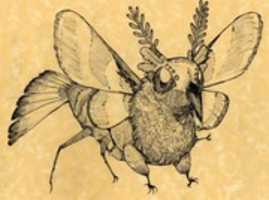 Free download birdmoffsketch2 free photo or picture to be edited with GIMP online image editor