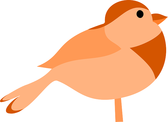 Bird Orange BrownFree vector graphic on Pixabay