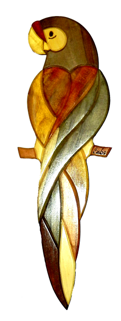 Free download Bird Parrot Animals -  free illustration to be edited with GIMP free online image editor
