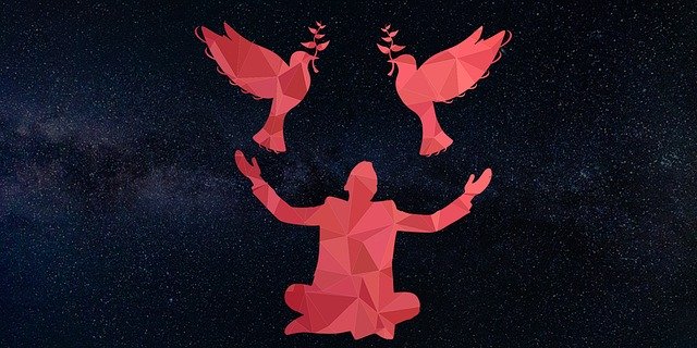 Free download Bird Pigeons Man -  free illustration to be edited with GIMP free online image editor