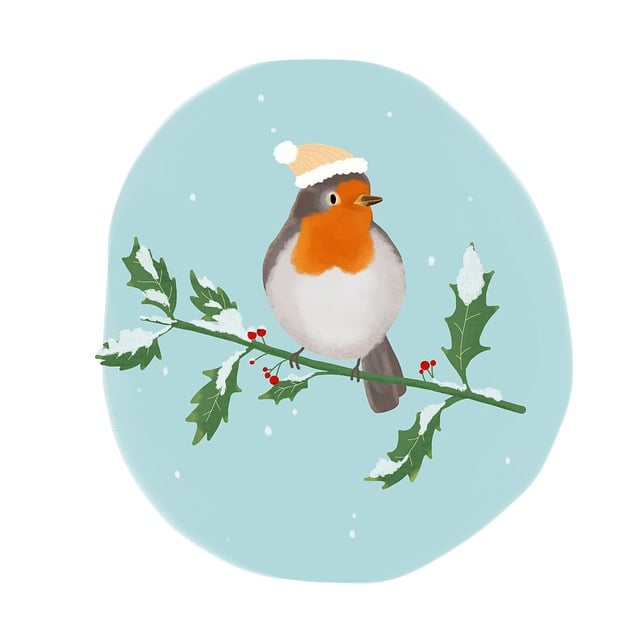 Free download bird robin snow winter knitted hat free picture to be edited with GIMP free online image editor