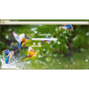 Birds  screen for extension Chrome web store in OffiDocs Chromium