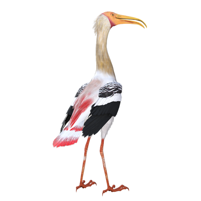 Ücretsiz indir Bird Sea Shore ücretsiz illüstrasyonu, GIMP çevrimiçi resim düzenleyici ile düzenlenebilir