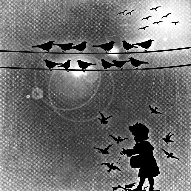 Free download Birds Feed -  free illustration to be edited with GIMP free online image editor