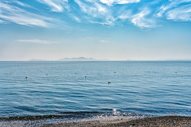Free download birds landscape lake lake shore free picture to be edited with GIMP free online image editor