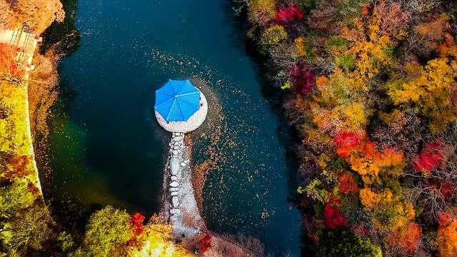 免费下载 Birds River - 使用 GIMP 在线图像编辑器编辑的免费照片或图片