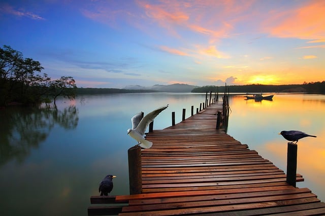 Free download birds seagulls lake sunrise bridge free picture to be edited with GIMP free online image editor