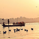 Birds swimming underwater  screen for extension Chrome web store in OffiDocs Chromium