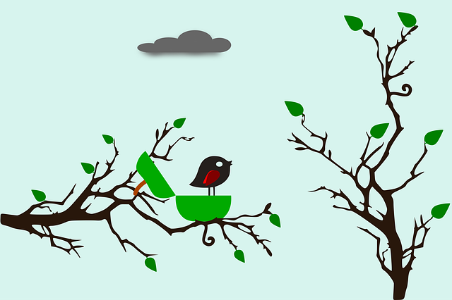 Free download Birds Tree Animal Black -  free illustration to be edited with GIMP free online image editor