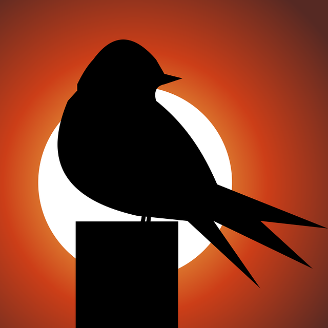 Free download Bird Sunset Lonely - Free vector graphic on Pixabay free illustration to be edited with GIMP free online image editor