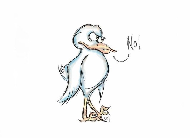 Free download Bird White -  free illustration to be edited with GIMP free online image editor