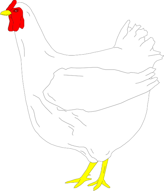 Free download Bird White Farm Animals - Free vector graphic on Pixabay free illustration to be edited with GIMP free online image editor