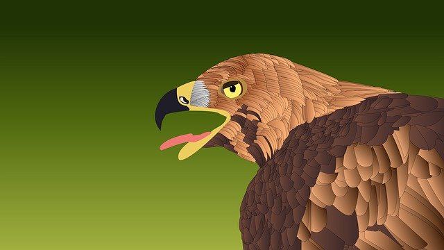 Download gratuito Bird Wildlife Nature - illustrazione gratuita da modificare con l'editor di immagini online gratuito GIMP
