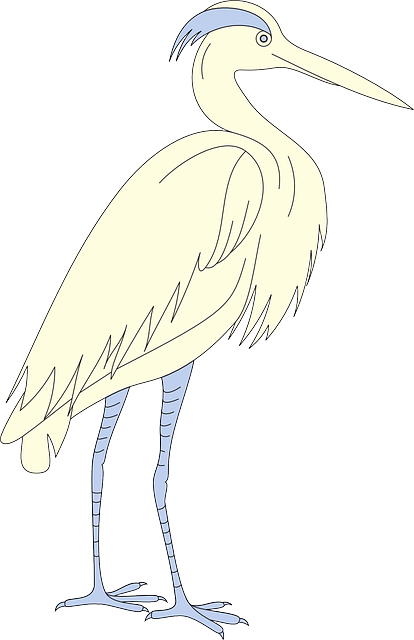 Free download Bird Wings Standing - Free vector graphic on Pixabay free illustration to be edited with GIMP free online image editor