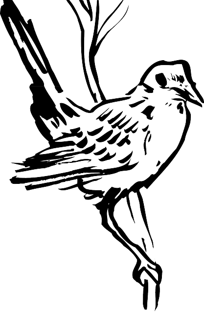 免费下载 鸟翅膀 树枝 - 免费矢量图形Pixabay - 免费插画，用GIMP 进行编辑 免费在线图像编辑器