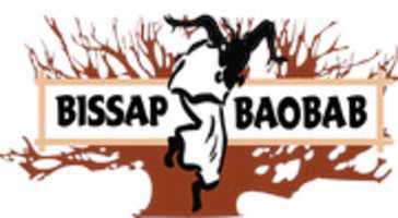 Free download Bissap Baobab free photo or picture to be edited with GIMP online image editor