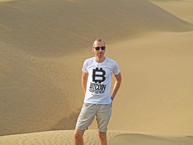 Free download Bitcoin Beelzebub Dunes -  free photo or picture to be edited with GIMP online image editor