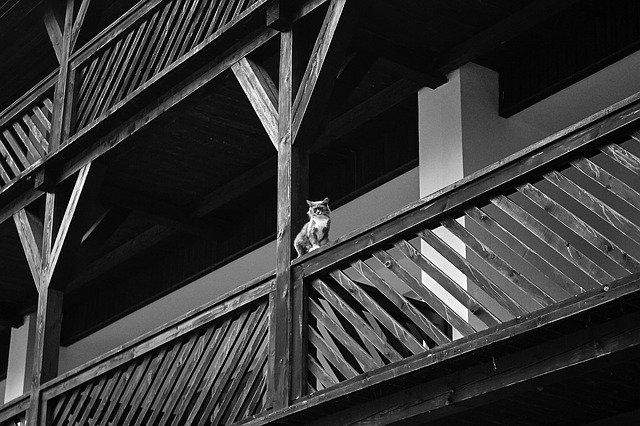 Free download black and white h b architecture free picture to be edited with GIMP free online image editor