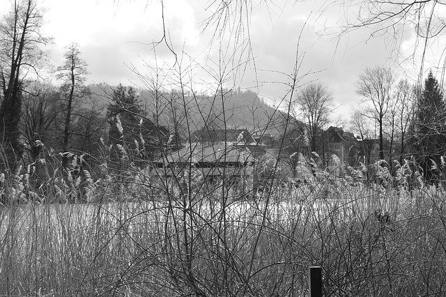 Muat turun percuma Black And White Nature Mood - foto atau gambar percuma untuk diedit dengan editor imej dalam talian GIMP