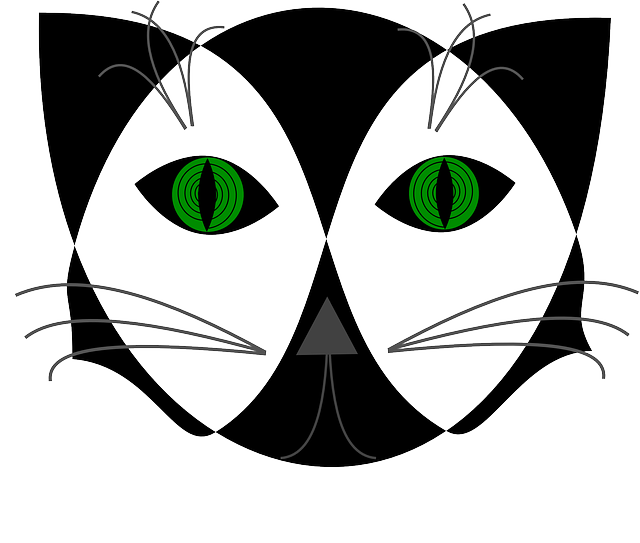 Free download Black Cat Hypnotizing - Free vector graphic on Pixabay free illustration to be edited with GIMP free online image editor
