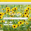 Black eyed Susan  screen for extension Chrome web store in OffiDocs Chromium