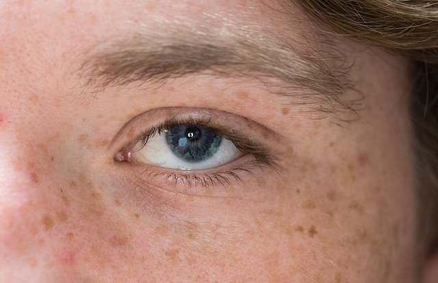 Free download Black Eye Eyelashes -  free photo or picture to be edited with GIMP online image editor