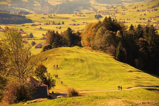Free download black forest field way hill hiking free picture to be edited with GIMP free online image editor