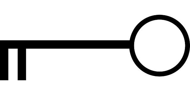 Bezpłatne pobieranie Czarny klucz Otwórz - Darmowa grafika wektorowa na Pixabay bezpłatną ilustrację do edycji za pomocą bezpłatnego edytora obrazów online GIMP