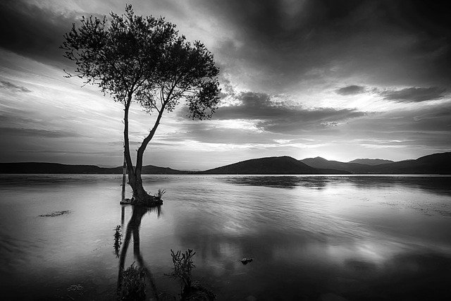 Free download black white lake landscape trees free picture to be edited with GIMP free online image editor