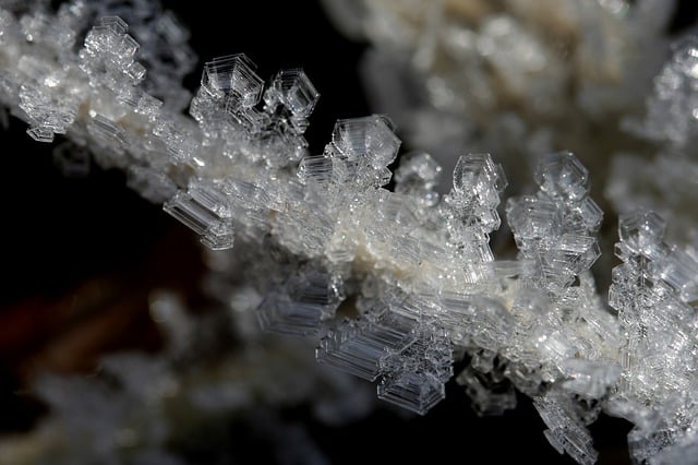 Free download blade of grass frozen ice crystals free picture to be edited with GIMP free online image editor
