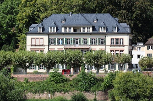 ดาวน์โหลดฟรี Blankenburg Hartz Trees - ภาพถ่ายหรือรูปภาพฟรีที่จะแก้ไขด้วยโปรแกรมแก้ไขรูปภาพออนไลน์ GIMP