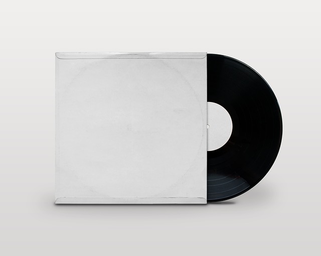 Free download blank vinyl record jacket record free picture to be edited with GIMP free online image editor