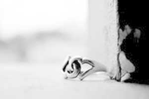 Free download Blend of two souls. free photo or picture to be edited with GIMP online image editor