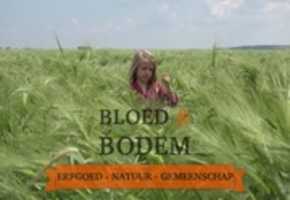 Free download bloed-en-bodem-653x450 free photo or picture to be edited with GIMP online image editor