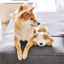 blog ext  screen for extension Chrome web store in OffiDocs Chromium