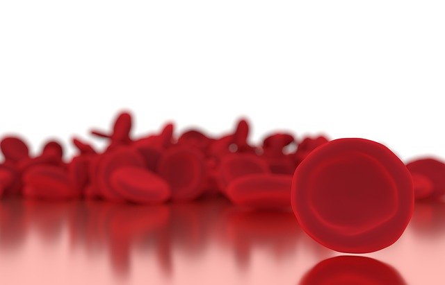 Free download Blood Cell Close-Up -  free illustration to be edited with GIMP free online image editor