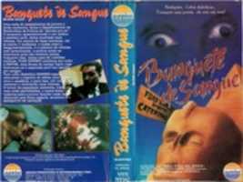 Free download Blood Feast VHS - Brazil free photo or picture to be edited with GIMP online image editor