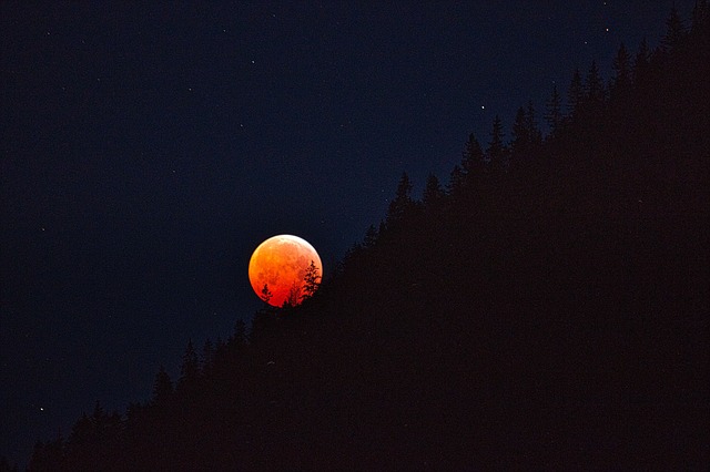 Template Photo Blood Moon Lunar Eclipse for OffiDocs