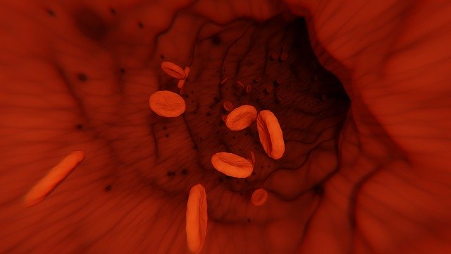 Download grátis Blood Platelets Cells ilustração gratuita para ser editada com o editor de imagens online GIMP
