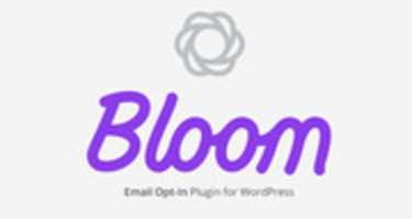 Free download Bloom Email Plugin free photo or picture to be edited with GIMP online image editor