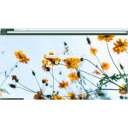 Bloom Flowers  screen for extension Chrome web store in OffiDocs Chromium