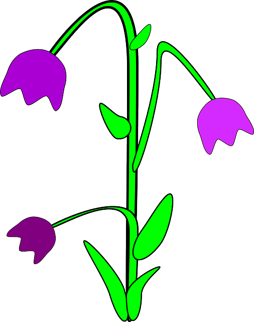 Free download Bluebell Flowers Blue - Free vector graphic on Pixabay free illustration to be edited with GIMP free online image editor