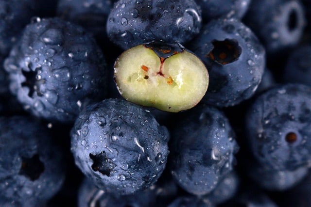 Free graphic blueberries fruits food fresh to be edited by GIMP free image editor by OffiDocs