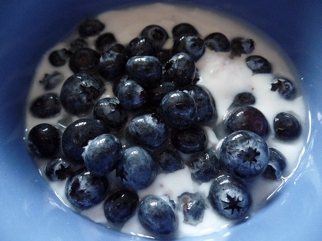 Descarga gratuita Blueberries Healthy Fruit - foto o imagen gratuita para editar con el editor de imágenes en línea GIMP