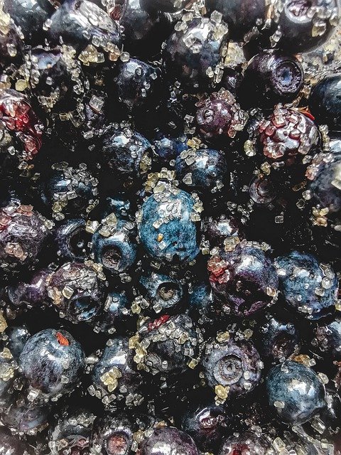 Descarga gratuita Blueberry Texture Fruit - foto o imagen gratuita para editar con el editor de imágenes en línea GIMP