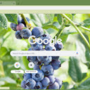 Blueberry Tree  screen for extension Chrome web store in OffiDocs Chromium