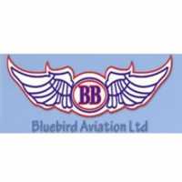 Free download Bluebird Aviation free photo or picture to be edited with GIMP online image editor