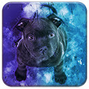 Blue Bull Terrier  screen for extension Chrome web store in OffiDocs Chromium