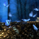 Blue butterflies  screen for extension Chrome web store in OffiDocs Chromium